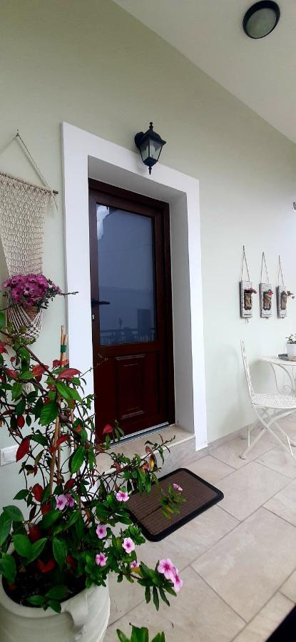 Polidoros House Apartmán Palekastro